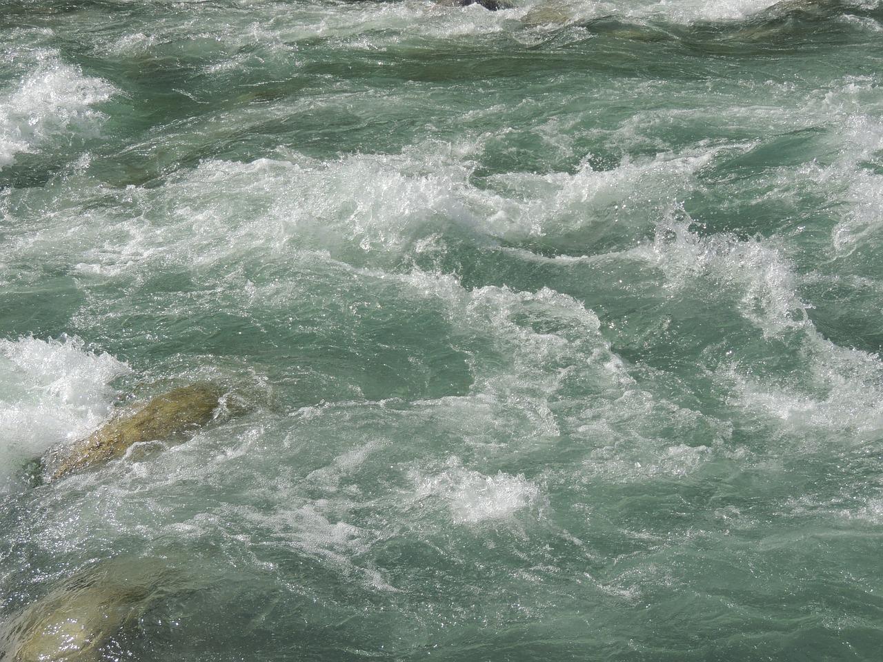 溪畔的柳树依依