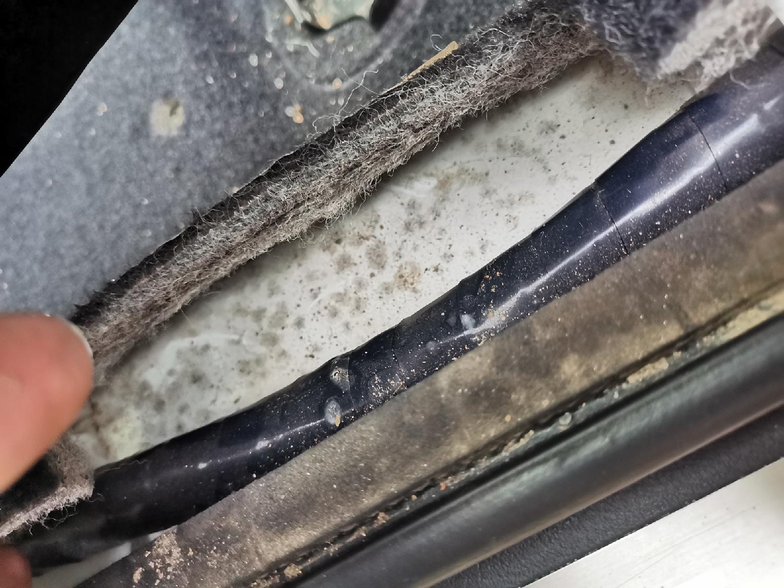 gtr太贵19万买英菲尼迪q50捡漏超高兴掀开地毯让人发怵