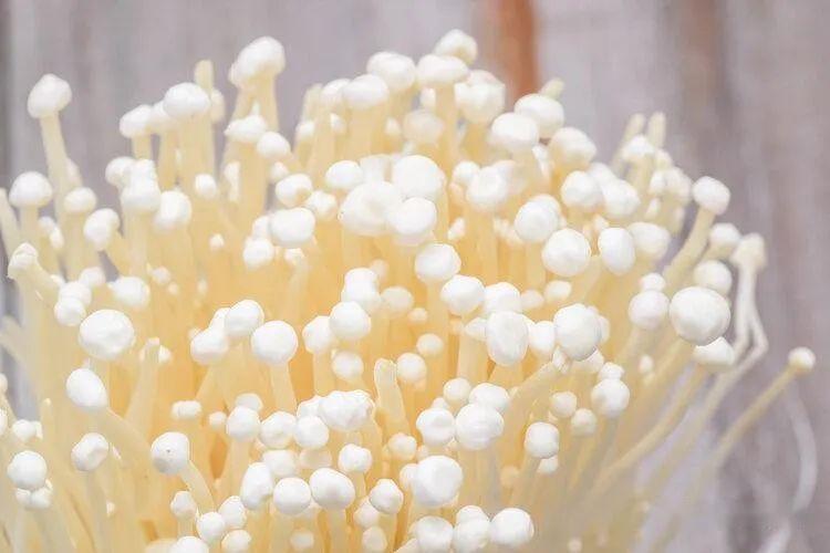 排出的大便一粒一粒的,像“羊粪球”,是怎么回事?如何缓解? - 知乎
