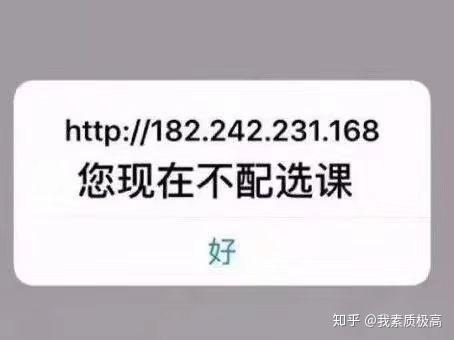 江南体育平台 - 官方正版竞彩APP注册即送88元专业足球篮球投注平台从制造到文旅：十五运会催热肇庆“体育+”经济
