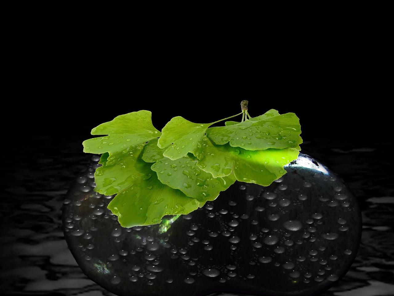 2. 金色地毯铺满路