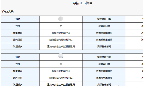 4,進入到特種設備操作證查詢界面以後,選擇對應的證件類型並輸入查詢