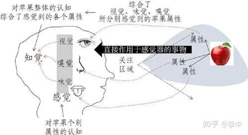 五触,五感,五识,五受、五觉 - 知乎