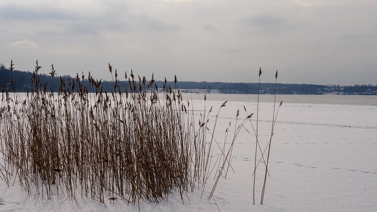 2. 家居湿度控制