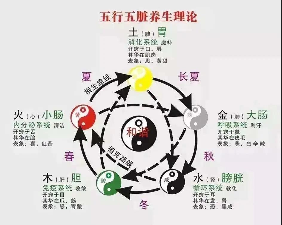 华手教育:中医最全五行系统对照表(值得珍藏)