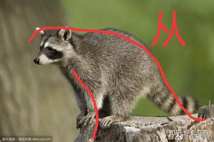 山海经东山经东次首经之山脉破解版图文版二