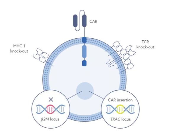 CRISPR-Cas9技术有望实现治愈的几种疾病 - 知乎