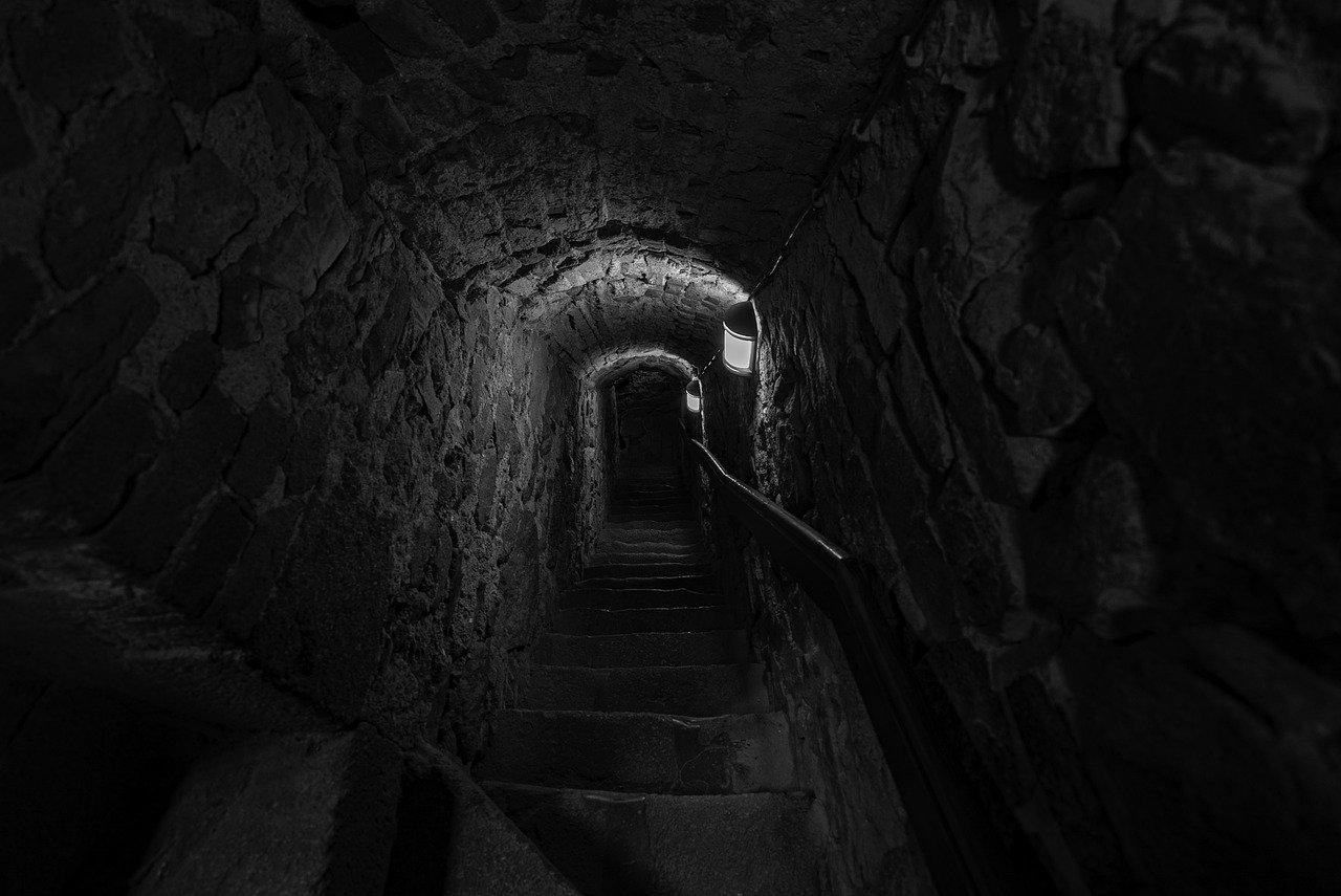 2. 抓机型号对比