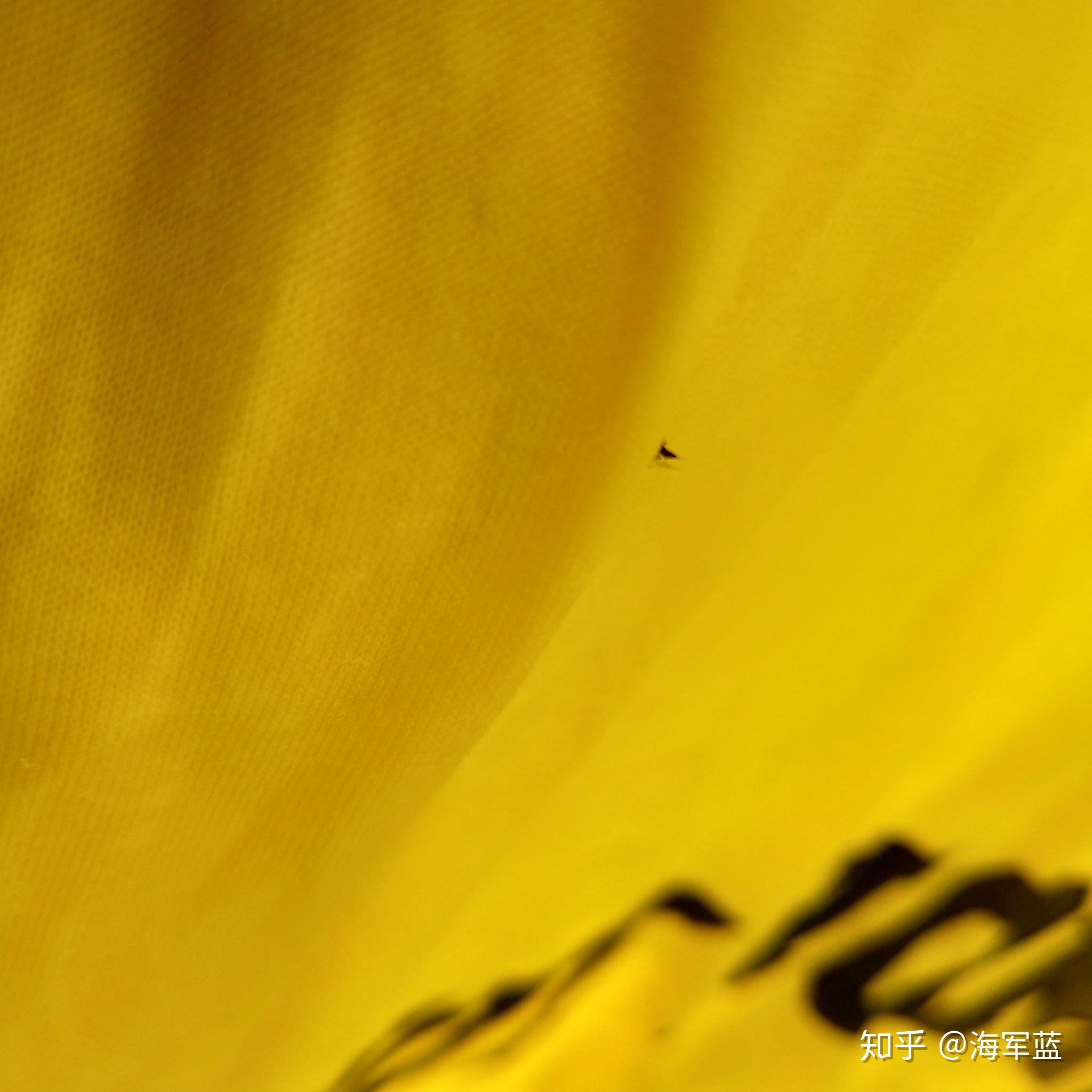 花园的出现了一种黑色会翘尾巴虫它喜欢黄色衣服请问怎么消灭附图