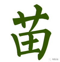 苗字- 知乎