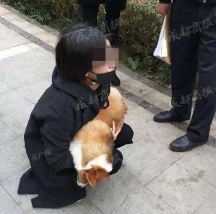 杀狗的何兴丽差点成为一个虐杀幼童的变态细思极恐