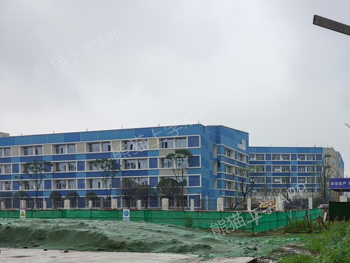揭开泡桐树小学桐欣校区神秘面纱!附2021年该校区招生政策!