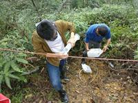 生态学 Frontiers In Ecology And The Environment 生态学研究日益复杂却解释力下降 知乎