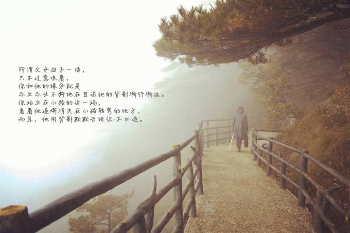 看《目送》,一个月,仿佛就像经历了一生 - 知乎