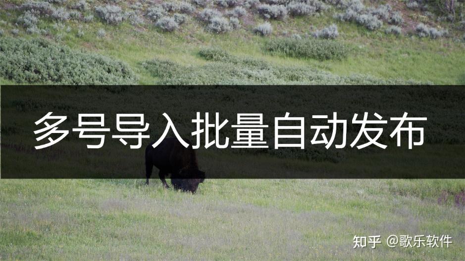 头条什么时候上传最合适(头条什么时候上传最合适视频)