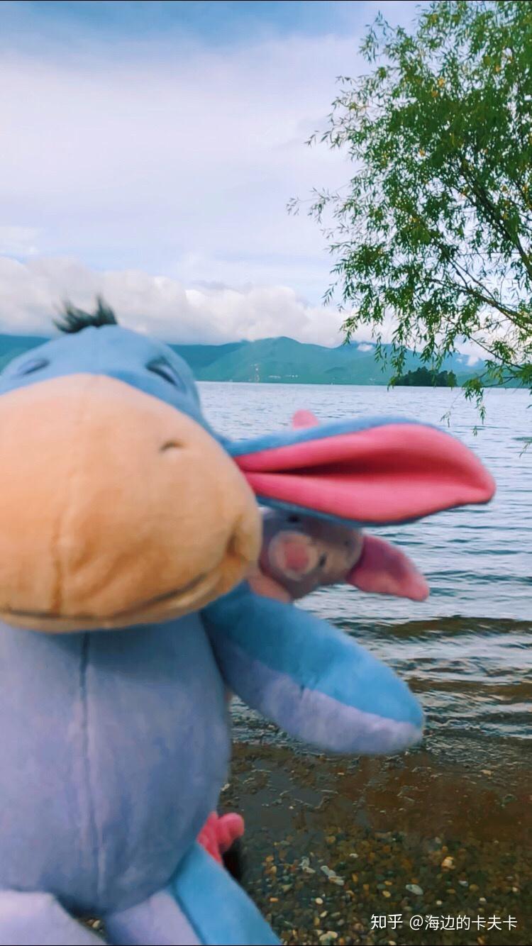 有人知道图上这些屹耳公仔哪里有得卖