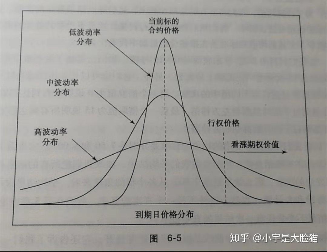 v2-8c945b48c1a900c7909f7ce46d539274_r.jpg