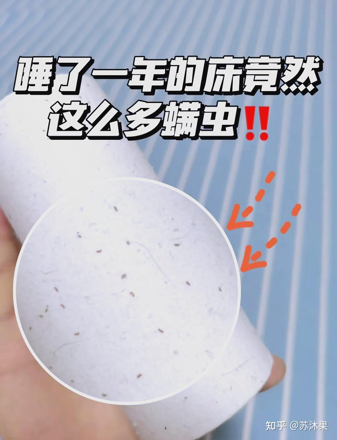 2026年除螨仪选购攻略:除螨仪是智商税吗?除螨仪哪款更值得入手?