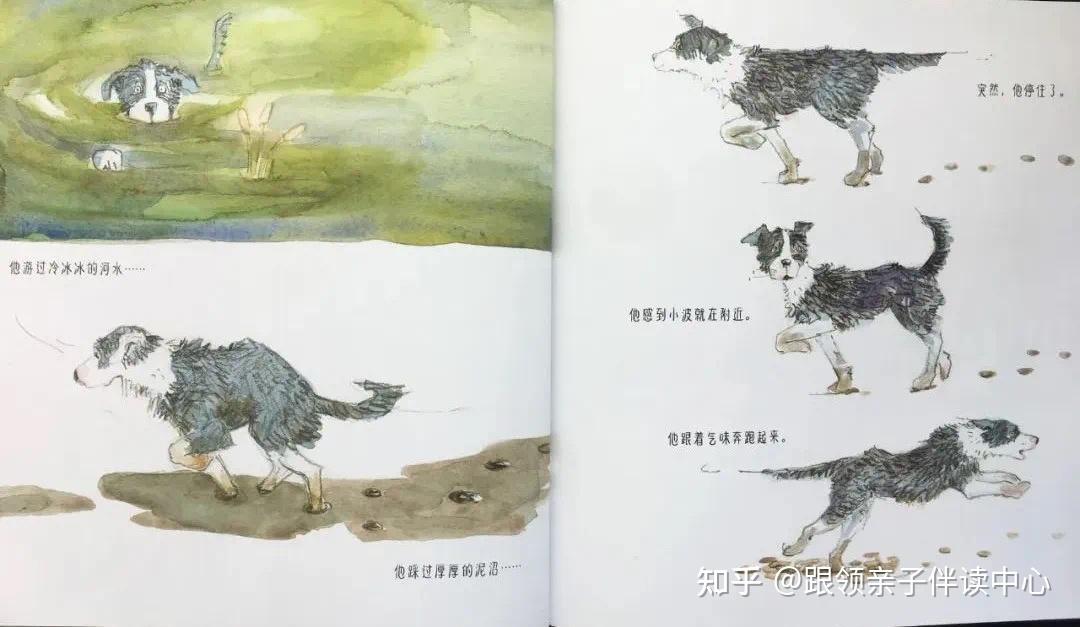 绘本时光最棒的牧羊犬