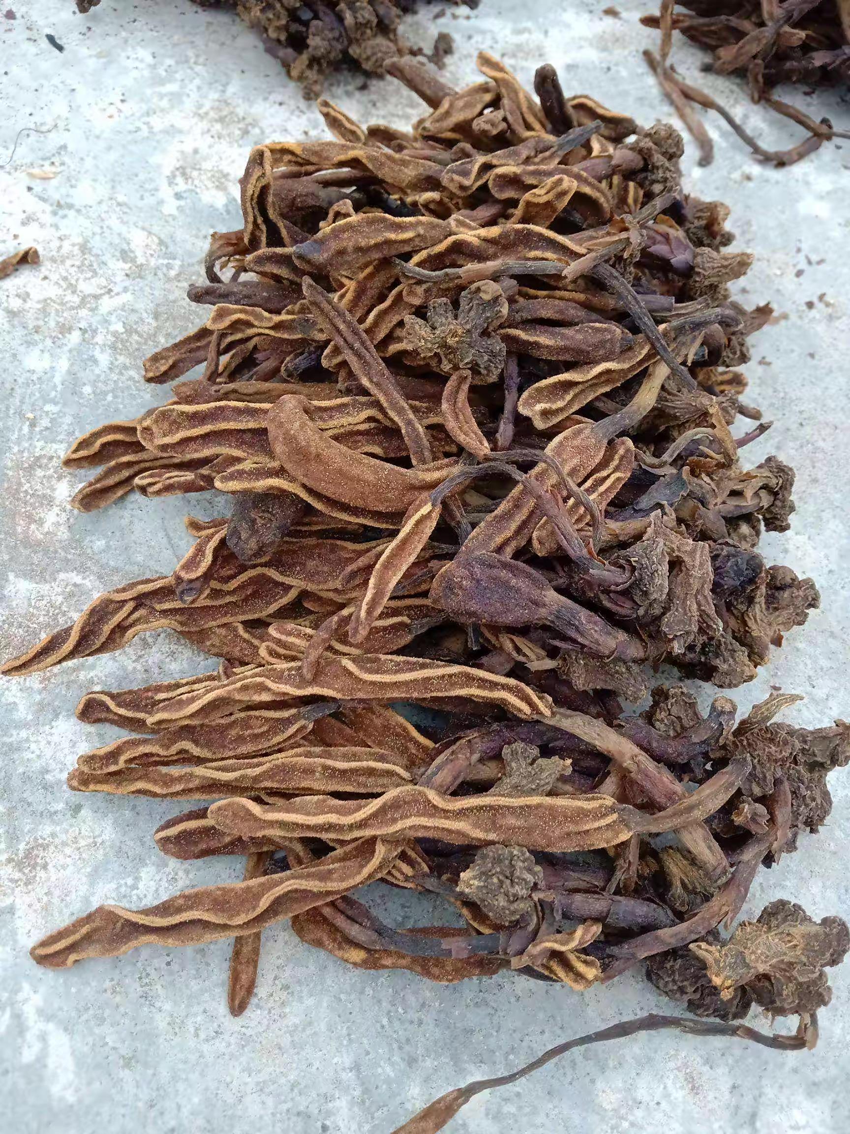 我购买一种叫《顶天柱》的药材(象干竹样),不知怎么用? - 知乎