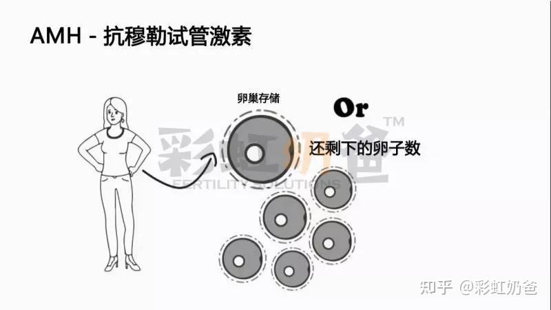 AHM是什么？数值偏低很难怀孕？多少是正常？｜彩虹奶爸 - 知乎