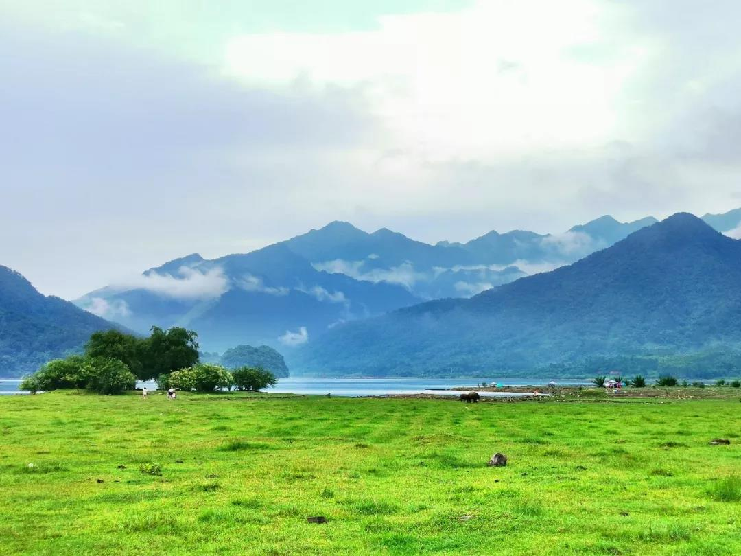 不用去内蒙广东也有风吹草低见牛羊的绝美大草原