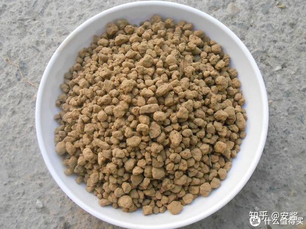 从零开始种植01 基质 知乎