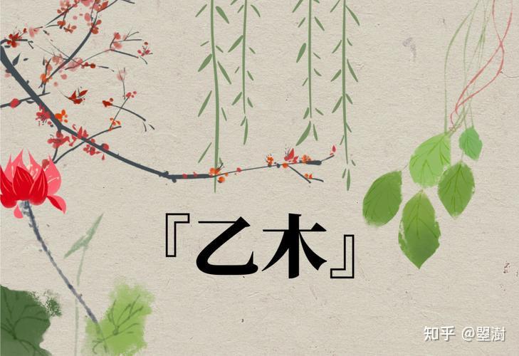 十天干之:乙木 - 知乎