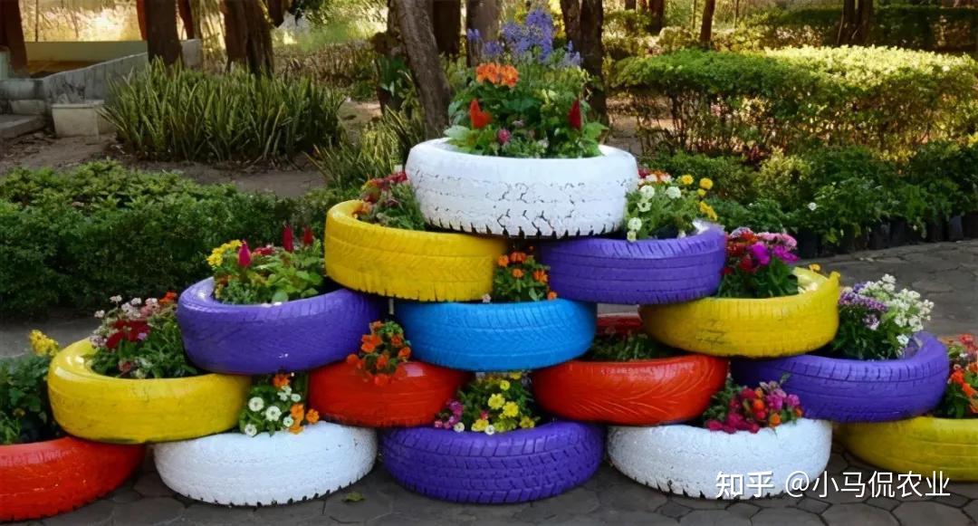 美女捡废弃轮胎造12种微景观种菜养花给土鸡建别墅真实用