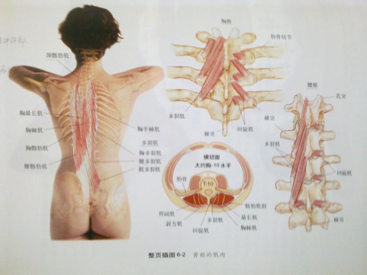 v2-8cd1864f68fc08dc1f1a2df2d99512bb_r.jpg