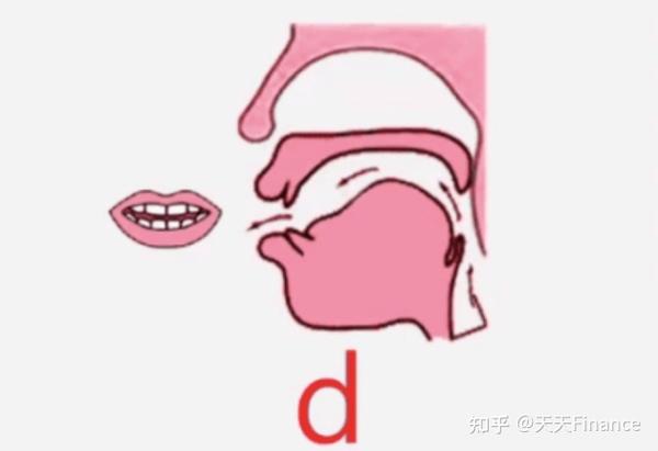 四川百灵鸟言语训练中心:孩子说话不清楚,跟舌系带长短有关系吗? - 知乎