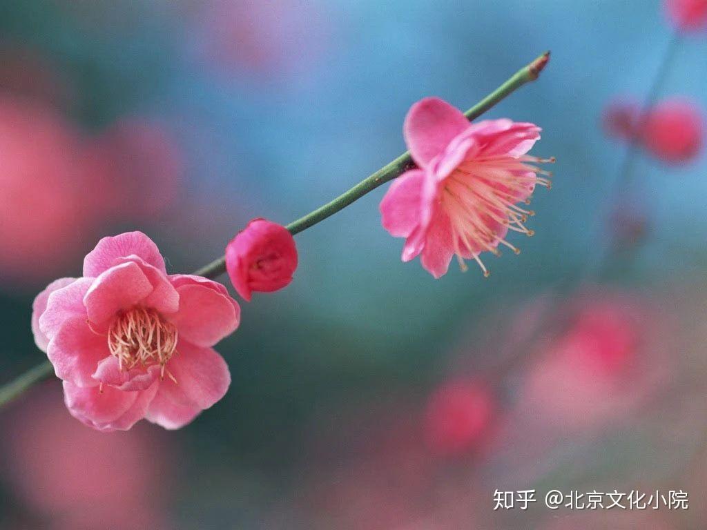 v2-8cde147867be0b56712cf0f011b1100c_r.jpg
