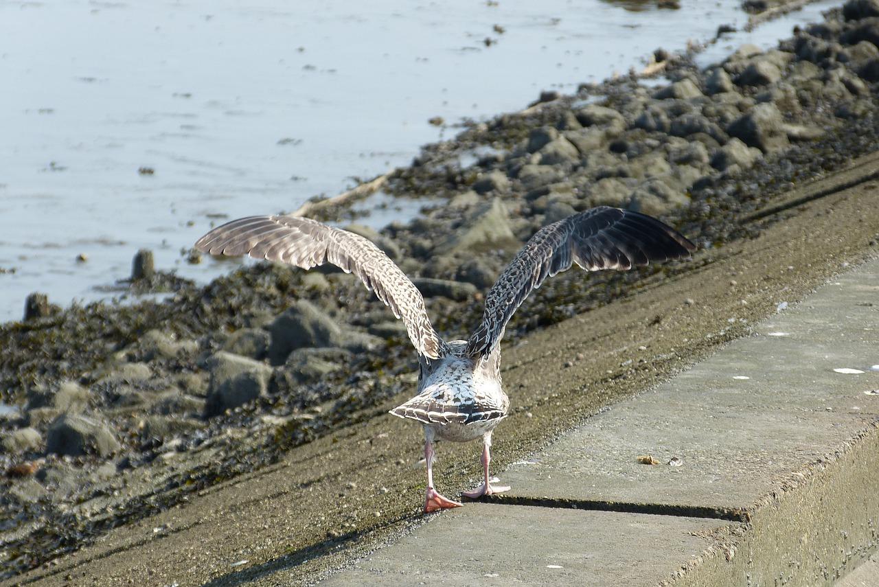 2. 管理团队实力