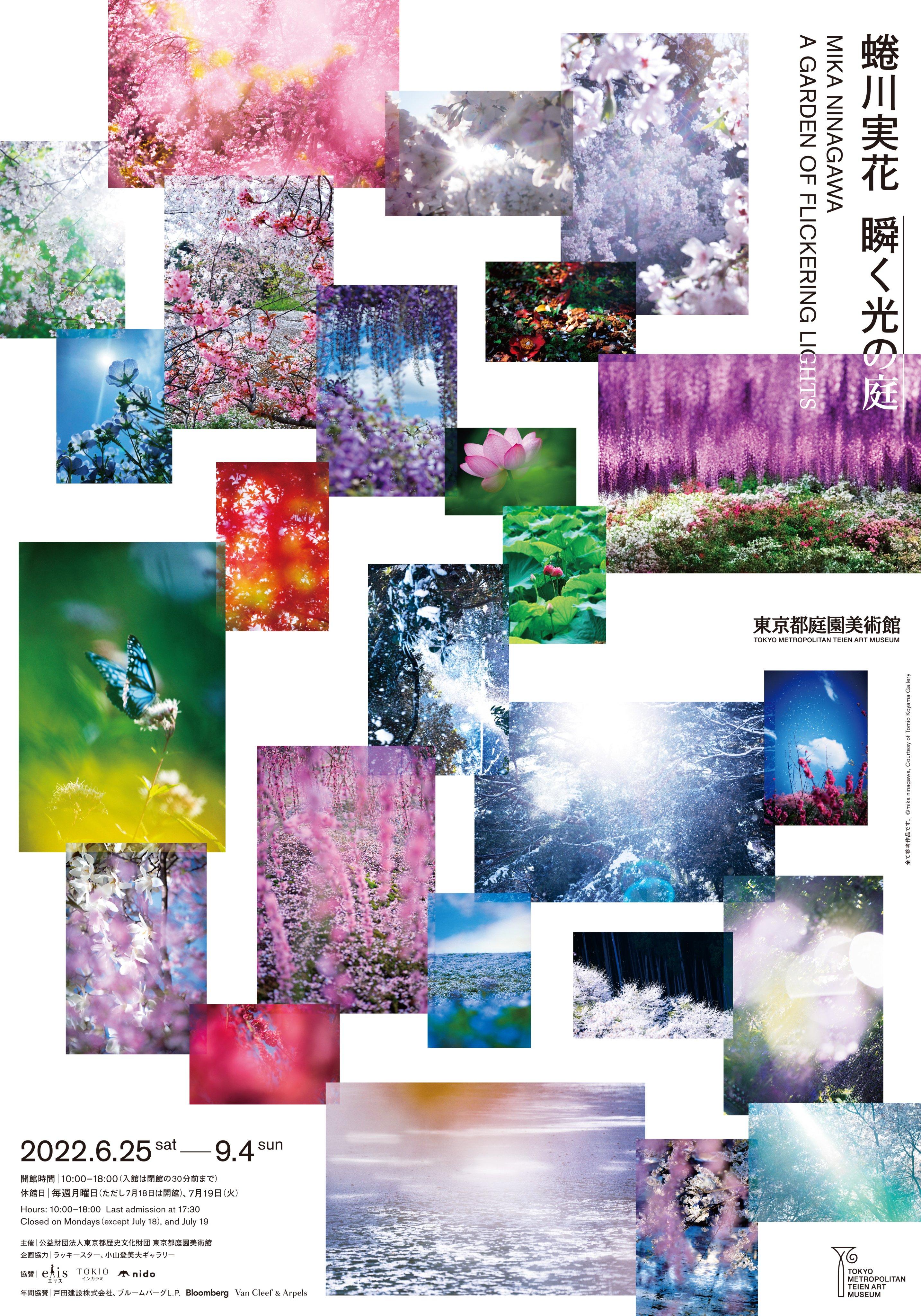 蜷川实花除了摄影外还涉及多种艺术艺术表现,在本次展览中展