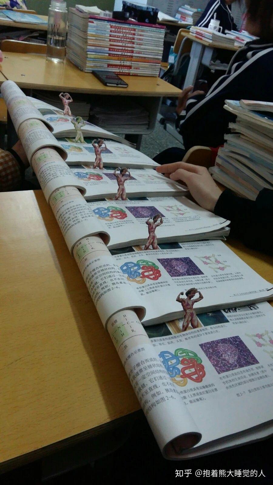 高中生物书上的那个肌肉女到底是谁