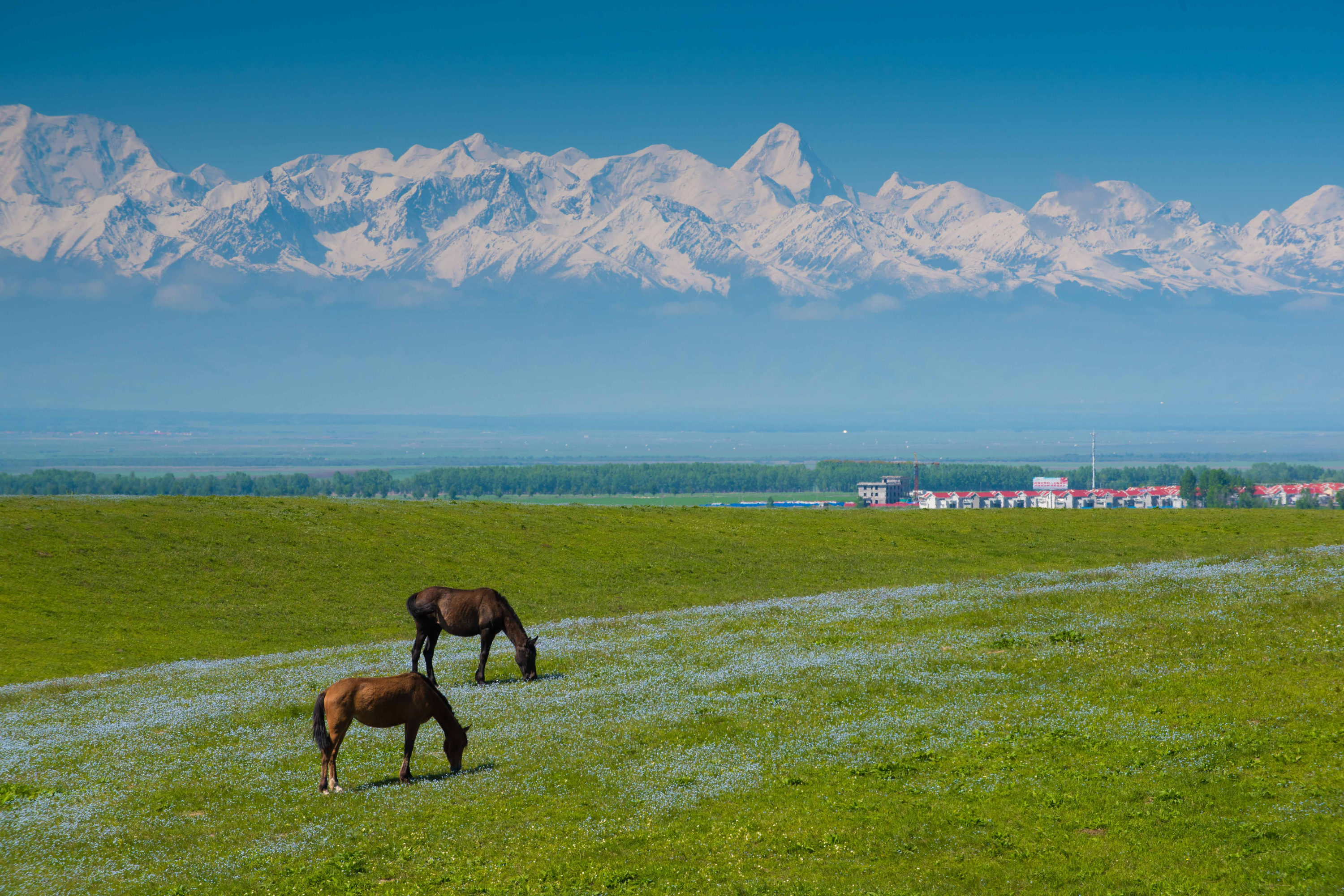 天山主脉北侧的另一面,昭苏方向朝南看托木尔峰和汗腾格里峰,相对高差
