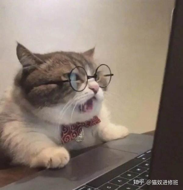 看下你的猫子多大了吧 知乎