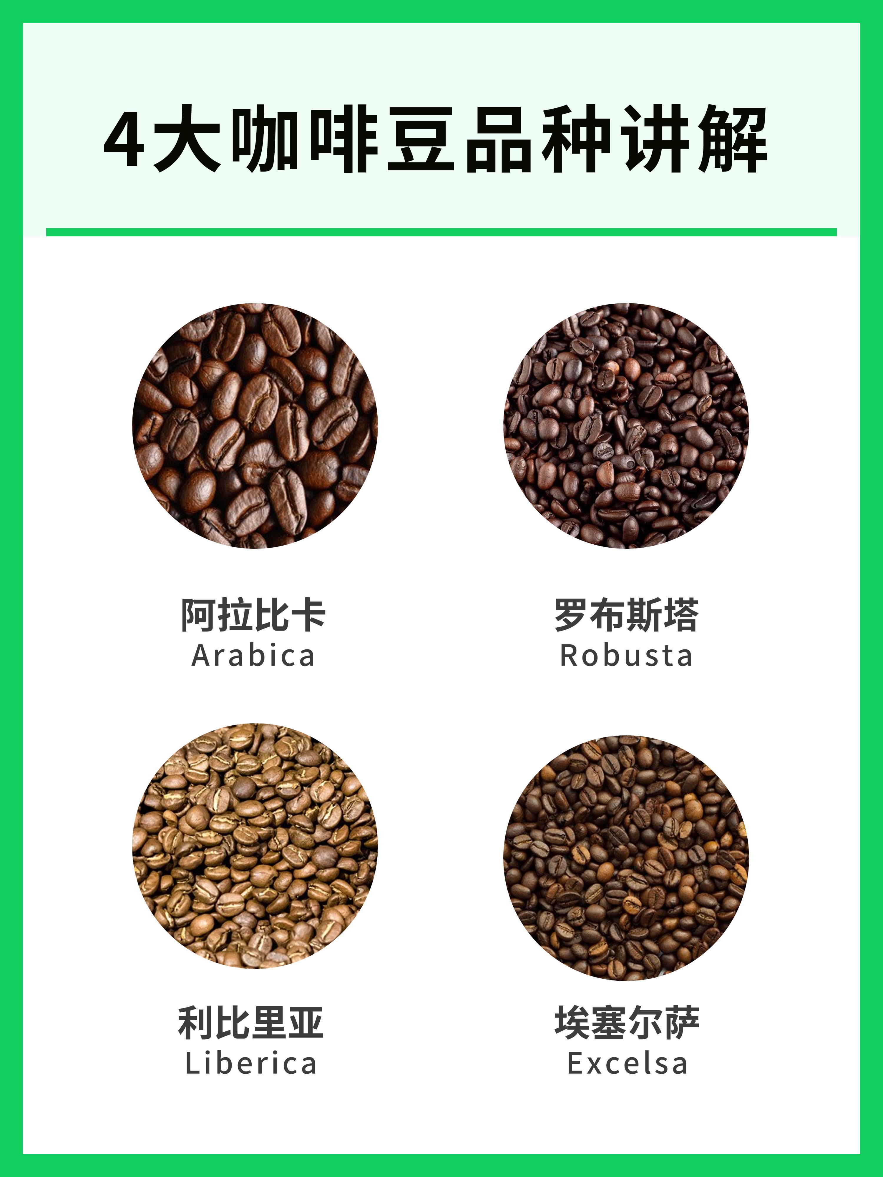 咖啡豆的种类及口味图片