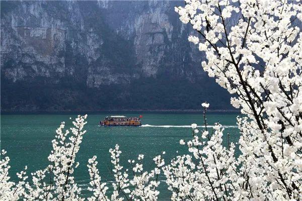 春赏贵州丨邂逅地球花海深入洞天福地这个春天建议你去一趟毕节