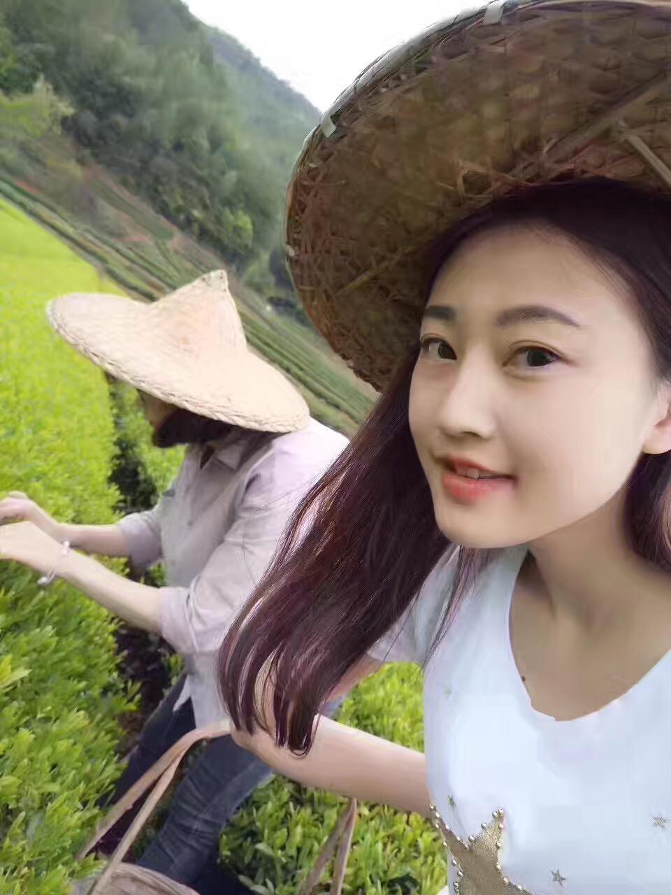 微信卖茶叶你认识一个叫雷微静的人吗