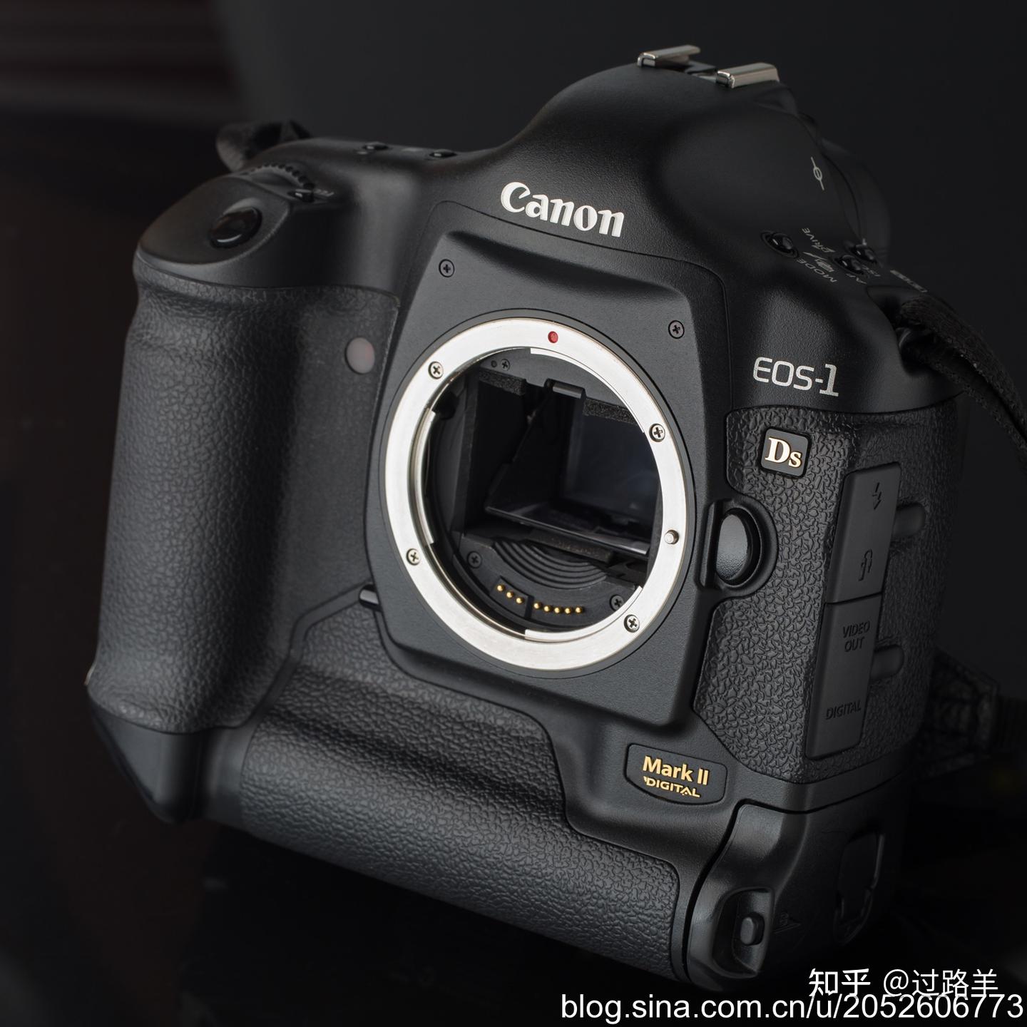 [过时 摄影器材]佳能EOS-1Ds MarkII 大兔子1Ds2全方面杂谈