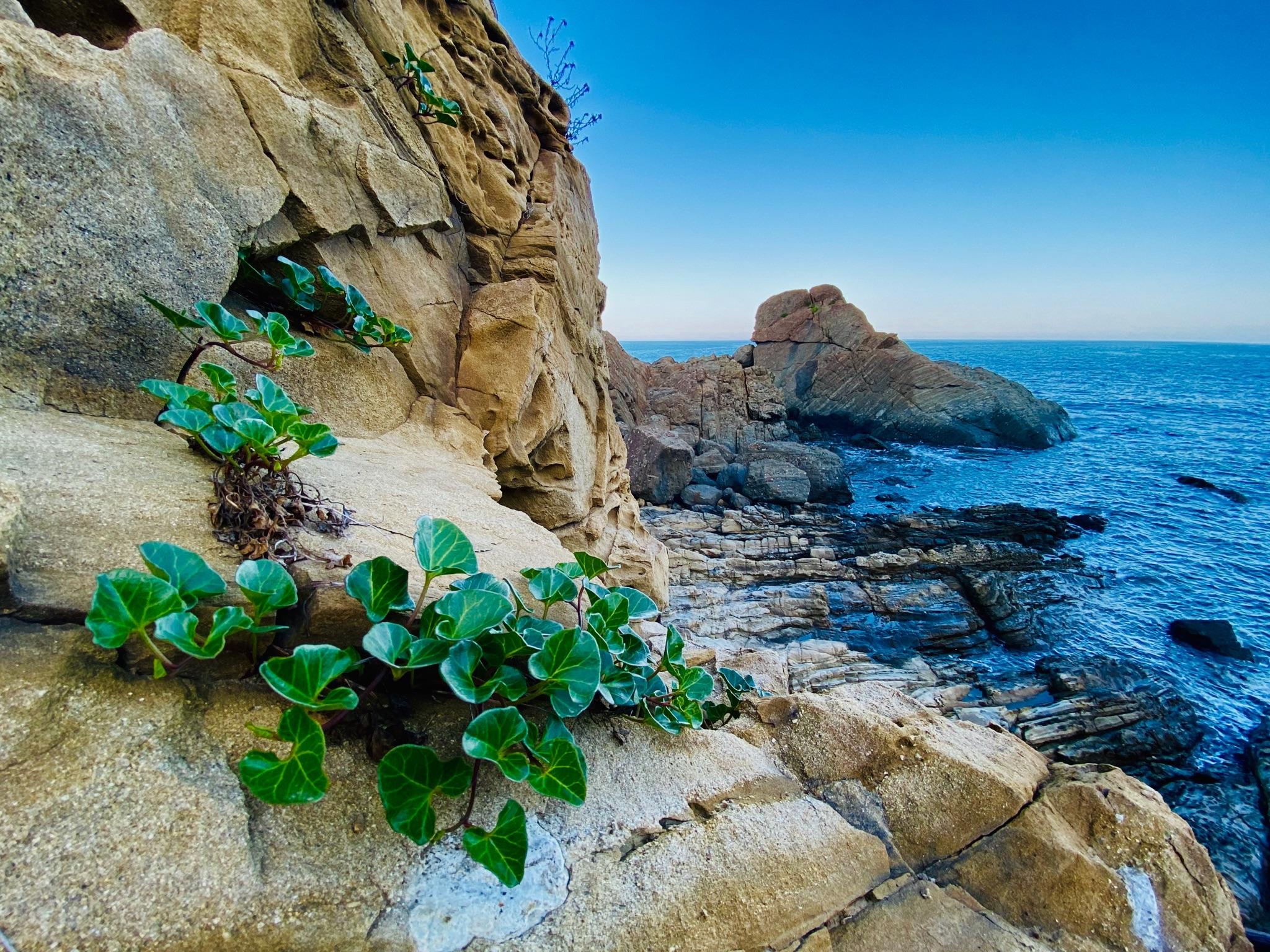 能发一张你照过的最好看的风景吗? - 知乎