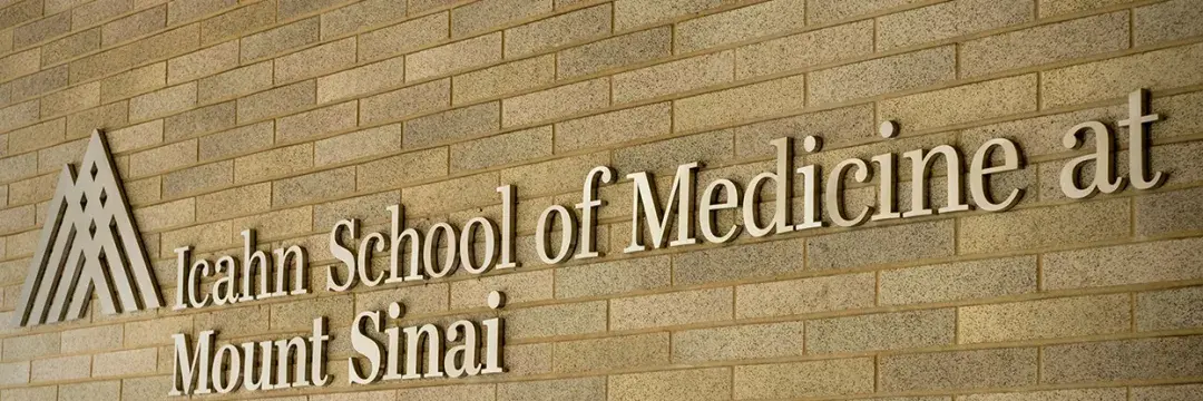 其中西奈山伊坎医学院(icahn school of medicine at mount sinai)