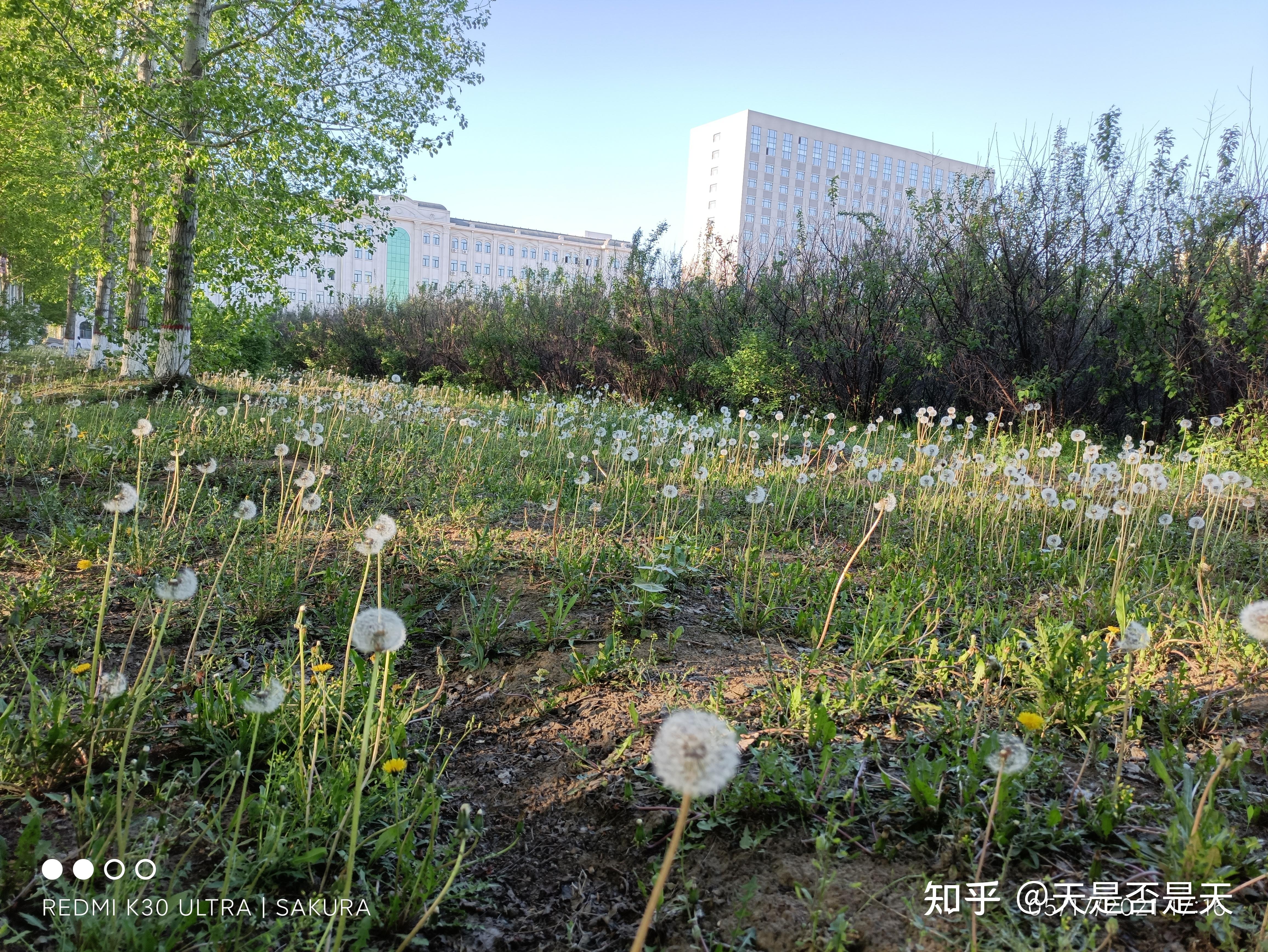 哈尔滨石油学院毕业证图片（我在哈尔滨石油学院学习了一年）