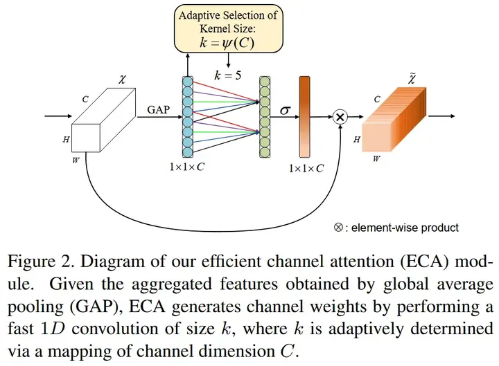 即插即用模块 ECA-Net: Efficient Channel Attention for Deep Convolutional ...