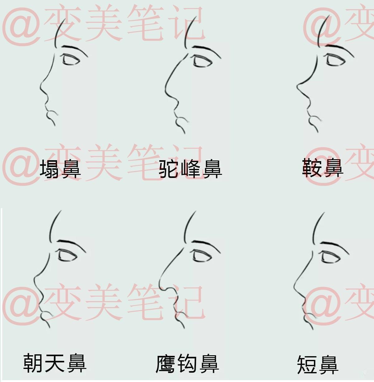 脸型分析，你的脸型适合什么样的鼻子？ - 知乎