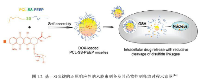 PLGA-Se-Se-PEG-N3 聚乳酸羟基乙酸共聚物-双硒键-聚乙二醇-叠氮 - 知乎