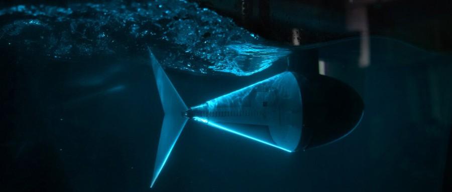 像鱼一样用尾巴控速仿生机器人新发现机器鱼登科学子刊