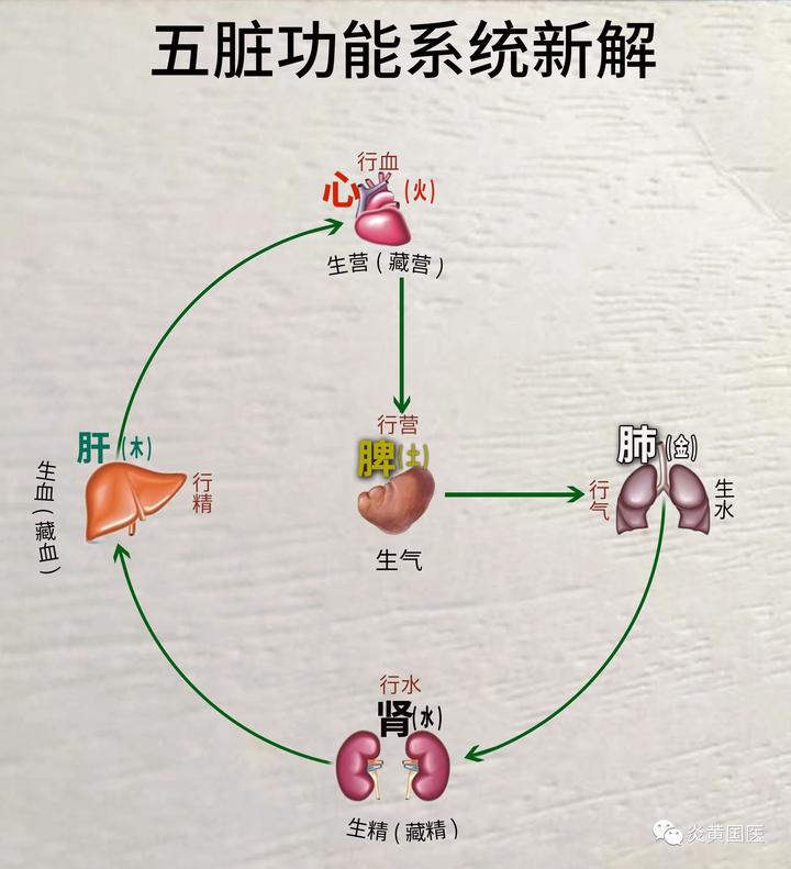 五脏关系与“五邪”之说 - 知乎