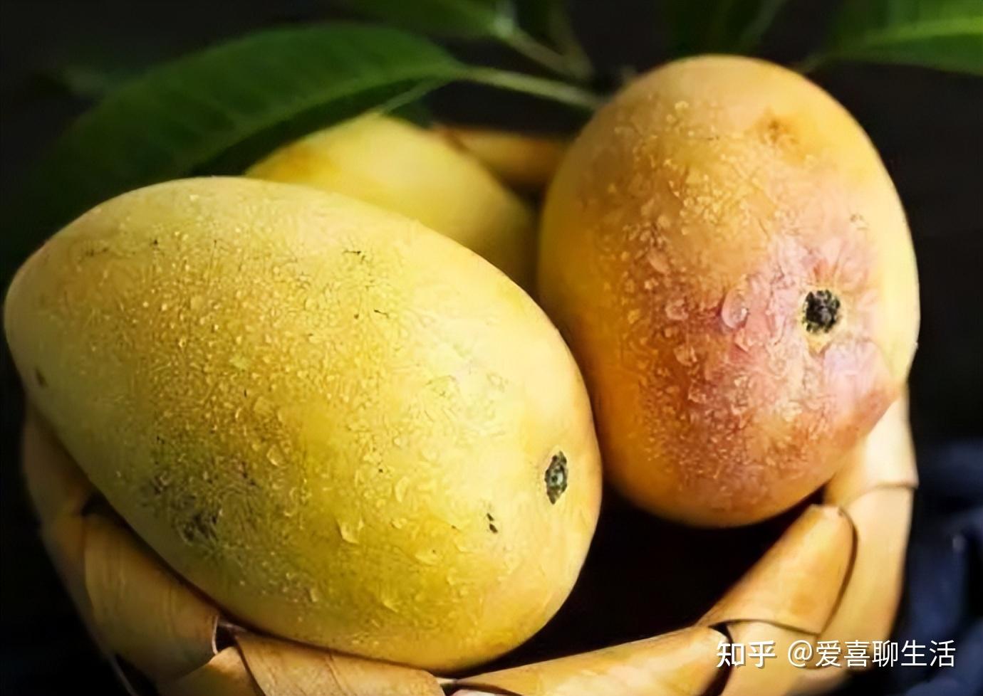芒果哪个品种最好吃(4种芒果口感最好)-风水人